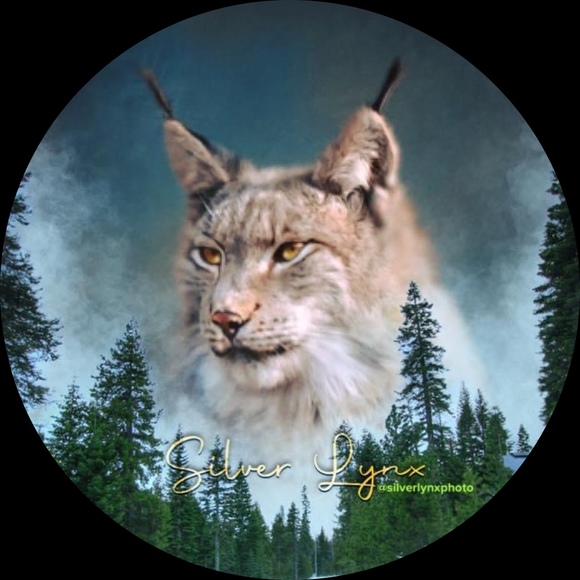 silverlynxphoto